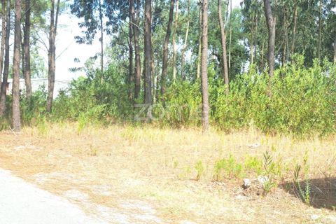 Helårsgrund i Cantanhede, Coimbra, Cantanhede - € 215.000 | Ref: ZMPT580346 - foto 17