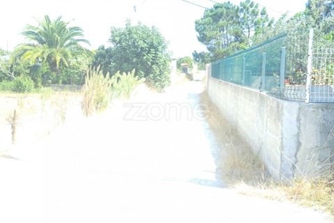 Helårsgrund i Cantanhede, Coimbra, Cantanhede - € 215.000 | Ref: ZMPT580346 - foto 21