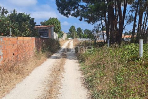 Helårsgrund i Cantanhede, Coimbra, Cantanhede - € 215.000 | Ref: ZMPT580346 - foto 22