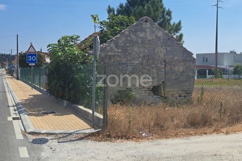 Helårsgrund i Cantanhede, Coimbra, Cantanhede - € 215.000 | Ref: ZMPT580346 - foto 25