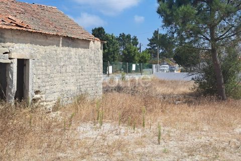 Helårsgrund i Cantanhede, Coimbra, Cantanhede - € 215.000 | Ref: ZMPT580346 - foto 27
