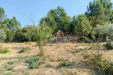 Helårsgrund i Mangualde, Viseu, Mangualde - € 18.500 | Ref: ZMPT580276 - foto 24