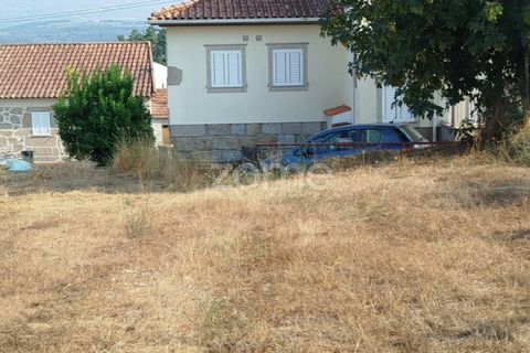 Helårsgrund i Mangualde, Viseu, Mangualde - € 18.500 | Ref: ZMPT580276 - foto 1