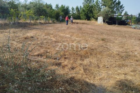 Helårsgrund i Mangualde, Viseu, Mangualde - € 18.500 | Ref: ZMPT580276 - foto 2