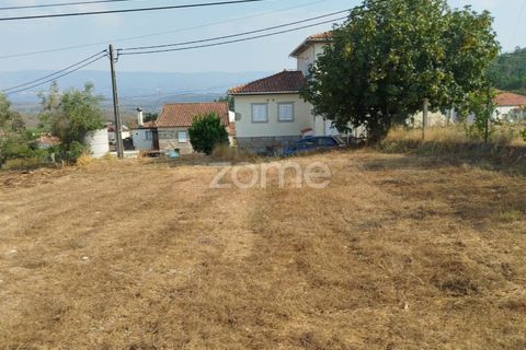 Helårsgrund i Mangualde, Viseu, Mangualde - € 18.500 | Ref: ZMPT580276 - foto 3