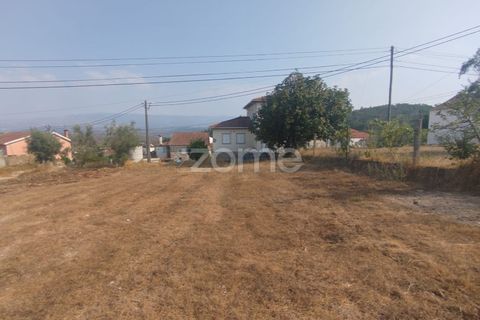 Helårsgrund i Mangualde, Viseu, Mangualde - € 18.500 | Ref: ZMPT580276 - foto 4