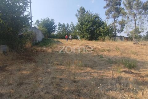 Helårsgrund i Mangualde, Viseu, Mangualde - € 18.500 | Ref: ZMPT580276 - foto 5