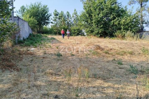 Helårsgrund i Mangualde, Viseu, Mangualde - € 18.500 | Ref: ZMPT580276 - foto 6