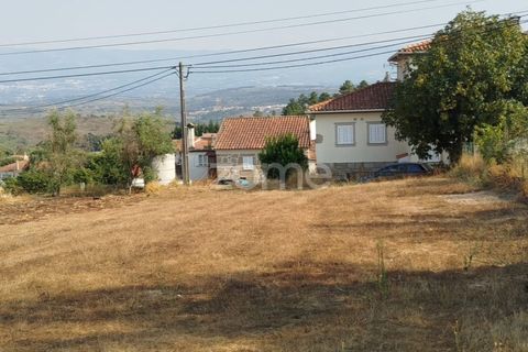 Helårsgrund i Mangualde, Viseu, Mangualde - € 18.500 | Ref: ZMPT580276 - foto 7