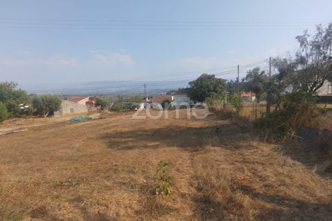 Helårsgrund i Mangualde, Viseu, Mangualde - € 18.500 | Ref: ZMPT580276 - foto 9