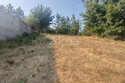 Helårsgrund i Mangualde, Viseu, Mangualde - € 18.500 | Ref: ZMPT580276 - foto 10