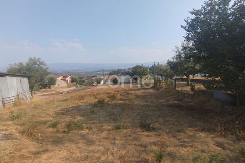 Helårsgrund i Mangualde, Viseu, Mangualde - € 18.500 | Ref: ZMPT580276 - foto 11