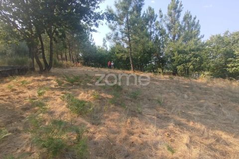 Helårsgrund i Mangualde, Viseu, Mangualde - € 18.500 | Ref: ZMPT580276 - foto 12