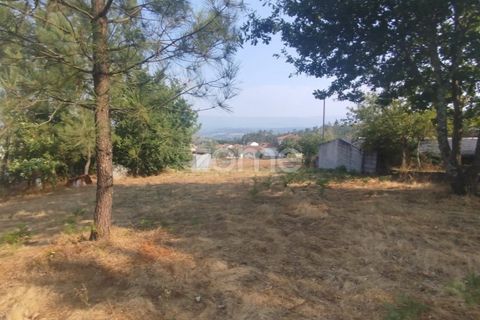 Helårsgrund i Mangualde, Viseu, Mangualde - € 18.500 | Ref: ZMPT580276 - foto 15