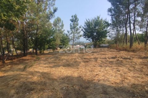 Helårsgrund i Mangualde, Viseu, Mangualde - € 18.500 | Ref: ZMPT580276 - foto 16