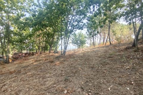 Helårsgrund i Mangualde, Viseu, Mangualde - € 18.500 | Ref: ZMPT580276 - foto 17