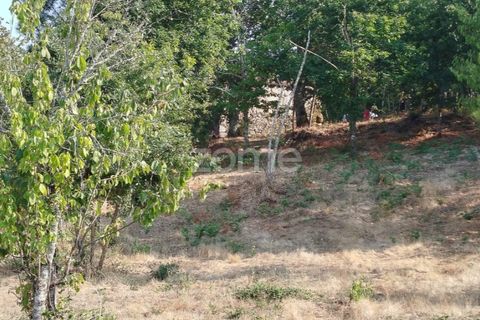 Helårsgrund i Mangualde, Viseu, Mangualde - € 18.500 | Ref: ZMPT580276 - foto 22