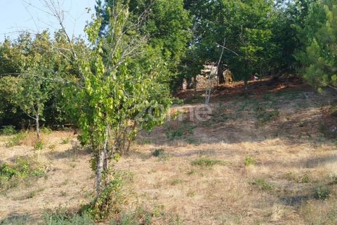 Helårsgrund i Mangualde, Viseu, Mangualde - € 18.500 | Ref: ZMPT580276 - foto 23