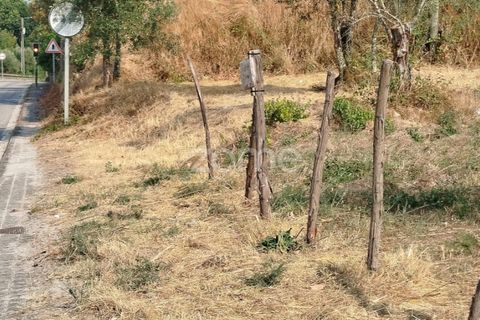 Helårsgrund i Mangualde, Viseu, Mangualde - € 18.500 | Ref: ZMPT580276 - foto 26