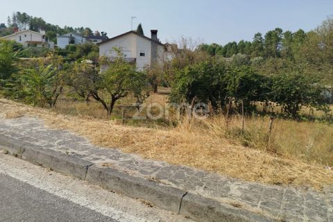 Helårsgrund i Mangualde, Viseu, Mangualde - € 18.500 | Ref: ZMPT580276 - foto 27