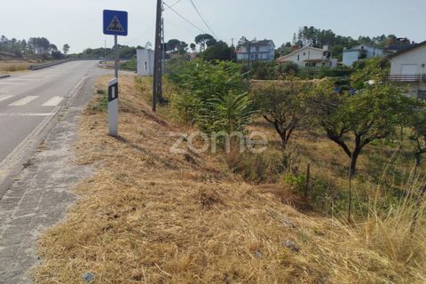 Helårsgrund i Mangualde, Viseu, Mangualde - € 18.500 | Ref: ZMPT580276 - foto 28