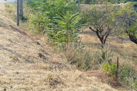Helårsgrund i Mangualde, Viseu, Mangualde - € 18.500 | Ref: ZMPT580276 - foto 29