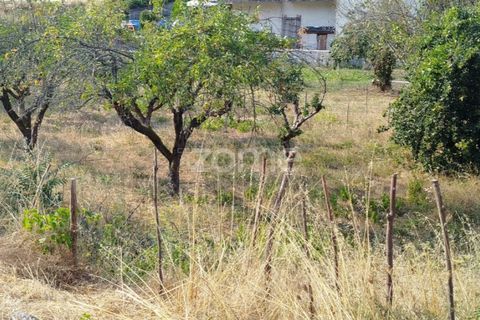 Helårsgrund i Mangualde, Viseu, Mangualde - € 18.500 | Ref: ZMPT580276 - foto 31