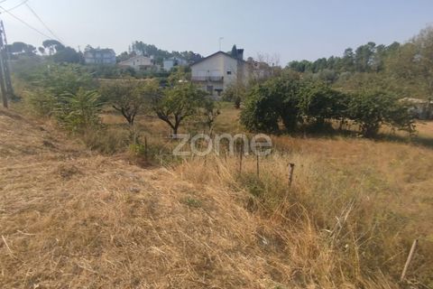 Helårsgrund i Mangualde, Viseu, Mangualde - € 18.500 | Ref: ZMPT580276 - foto 32