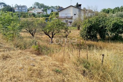 Helårsgrund i Mangualde, Viseu, Mangualde - € 18.500 | Ref: ZMPT580276 - foto 33