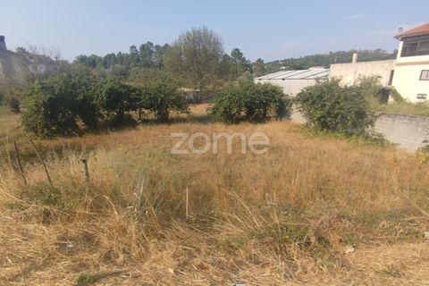 Helårsgrund i Mangualde, Viseu, Mangualde - € 18.500 | Ref: ZMPT580276 - foto 34