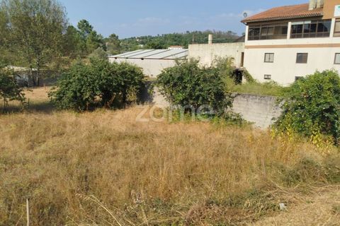 Helårsgrund i Mangualde, Viseu, Mangualde - € 18.500 | Ref: ZMPT580276 - foto 35