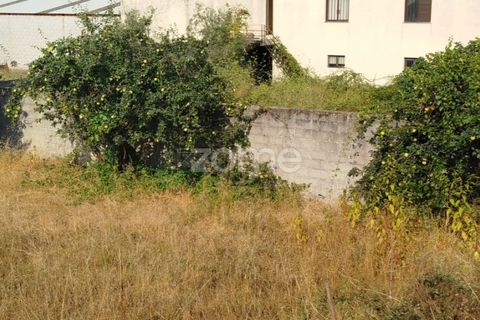Helårsgrund i Mangualde, Viseu, Mangualde - € 18.500 | Ref: ZMPT580276 - foto 36