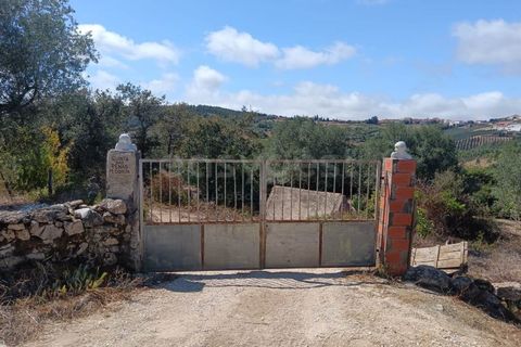 Helårsgrund i Alcobaca, Leiria, Alcobaca - € 87.000 | Ref: LE97866NZ - foto 1