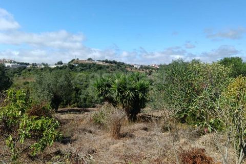 Helårsgrund i Alcobaca, Leiria, Alcobaca - € 87.000 | Ref: LE97866NZ - foto 2