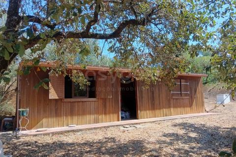 Helårsgrund i Alcobaca, Leiria, Alcobaca - € 87.000 | Ref: LE97866NZ - foto 3