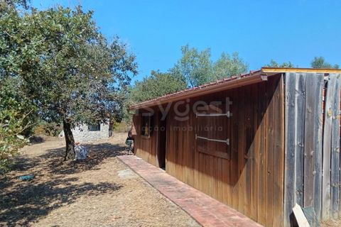 Helårsgrund i Alcobaca, Leiria, Alcobaca - € 87.000 | Ref: LE97866NZ - foto 4