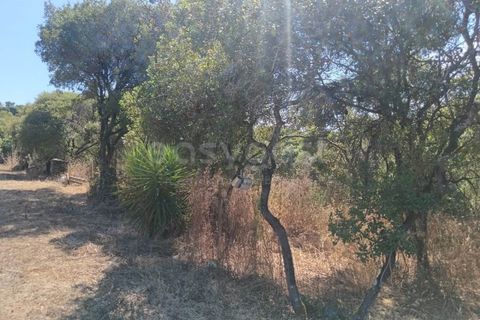 Helårsgrund i Alcobaca, Leiria, Alcobaca - € 87.000 | Ref: LE97866NZ - foto 5