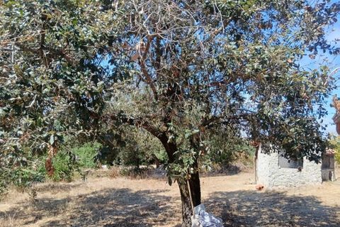 Helårsgrund i Alcobaca, Leiria, Alcobaca - € 87.000 | Ref: LE97866NZ - foto 6
