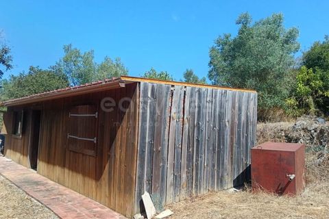 Helårsgrund i Alcobaca, Leiria, Alcobaca - € 87.000 | Ref: LE97866NZ - foto 7