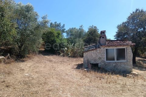 Helårsgrund i Alcobaca, Leiria, Alcobaca - € 87.000 | Ref: LE97866NZ - foto 8