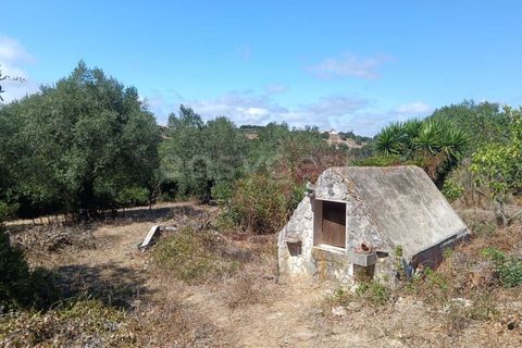 Helårsgrund i Alcobaca, Leiria, Alcobaca - € 87.000 | Ref: LE97866NZ - foto 9