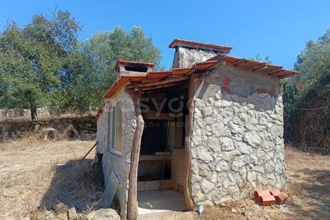 Helårsgrund i Alcobaca, Leiria, Alcobaca - € 87.000 | Ref: LE97866NZ - foto 10