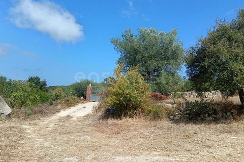 Helårsgrund i Alcobaca, Leiria, Alcobaca - € 87.000 | Ref: LE97866NZ - foto 12