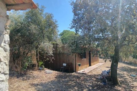 Helårsgrund i Alcobaca, Leiria, Alcobaca - € 87.000 | Ref: LE97866NZ - foto 15