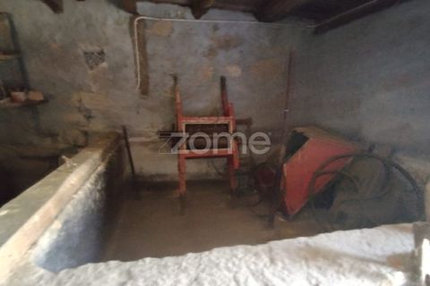 Villa i Castro Daire, Viseu, Castro Daire - € 50.000 | Ref: ZMPT580300 - foto 22