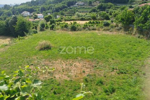 Villa i Castro Daire, Viseu, Castro Daire - € 50.000 | Ref: ZMPT580300 - foto 23