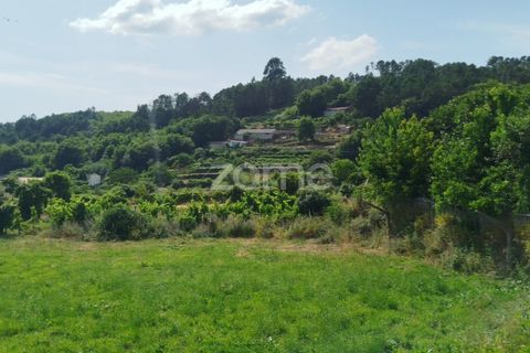 Villa i Castro Daire, Viseu, Castro Daire - € 50.000 | Ref: ZMPT580300 - foto 26