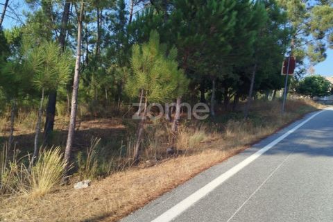 Helårsgrund i Mangualde, Viseu, Mangualde - € 33.500 | Ref: ZMPT580301 - foto 1