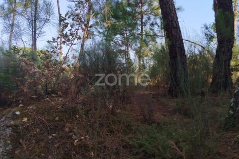 Helårsgrund i Mangualde, Viseu, Mangualde - € 33.500 | Ref: ZMPT580301 - foto 3