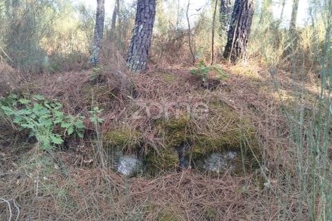 Helårsgrund i Mangualde, Viseu, Mangualde - € 33.500 | Ref: ZMPT580301 - foto 5